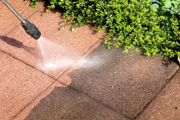 Professional  Pressure Washing in Tri City, OR